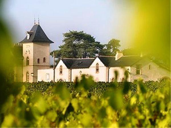 Domaine De La Soucherie - Chambres D'Hotes Beaulieu-sur-Layon Ngoại thất bức ảnh