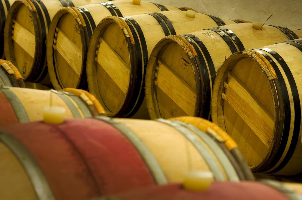 Domaine De La Soucherie - Chambres D'Hotes Beaulieu-sur-Layon Ngoại thất bức ảnh