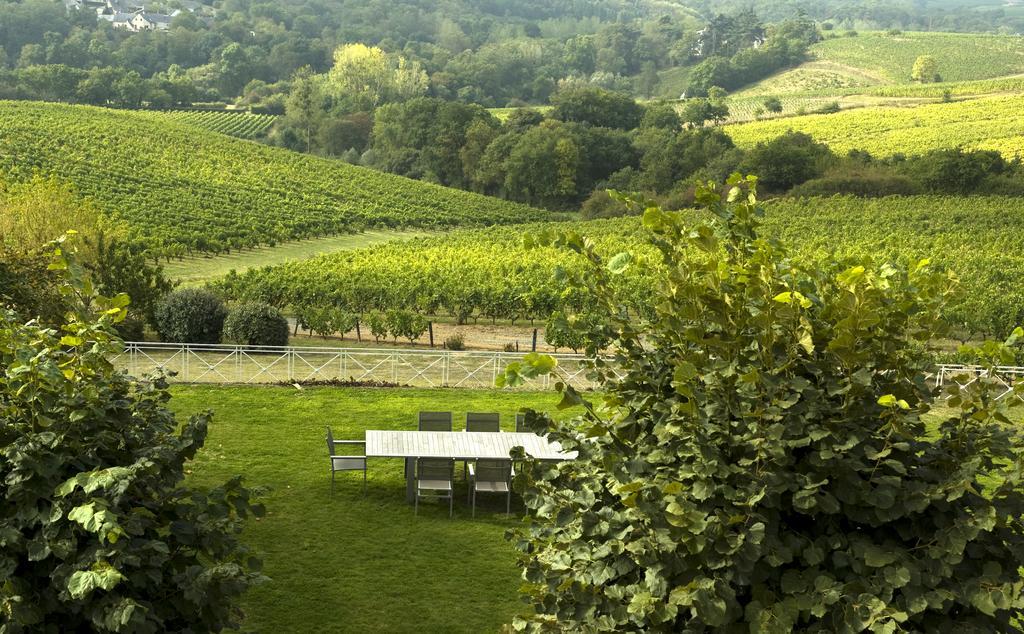 Domaine De La Soucherie - Chambres D'Hotes Beaulieu-sur-Layon Ngoại thất bức ảnh