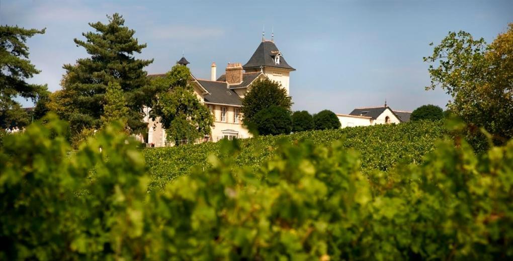 Domaine De La Soucherie - Chambres D'Hotes Beaulieu-sur-Layon Ngoại thất bức ảnh